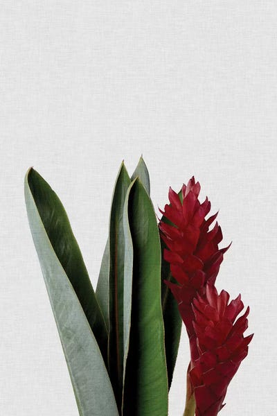 Minimalist Bohemian Decor: Red Flower by Orara Studio