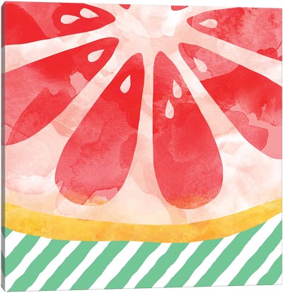 Red Grapefruit Abstract Canvas Art Print - Orara Studio