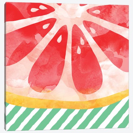 Red Grapefruit Abstract Canvas Print #ORA198} by Orara Studio Canvas Print