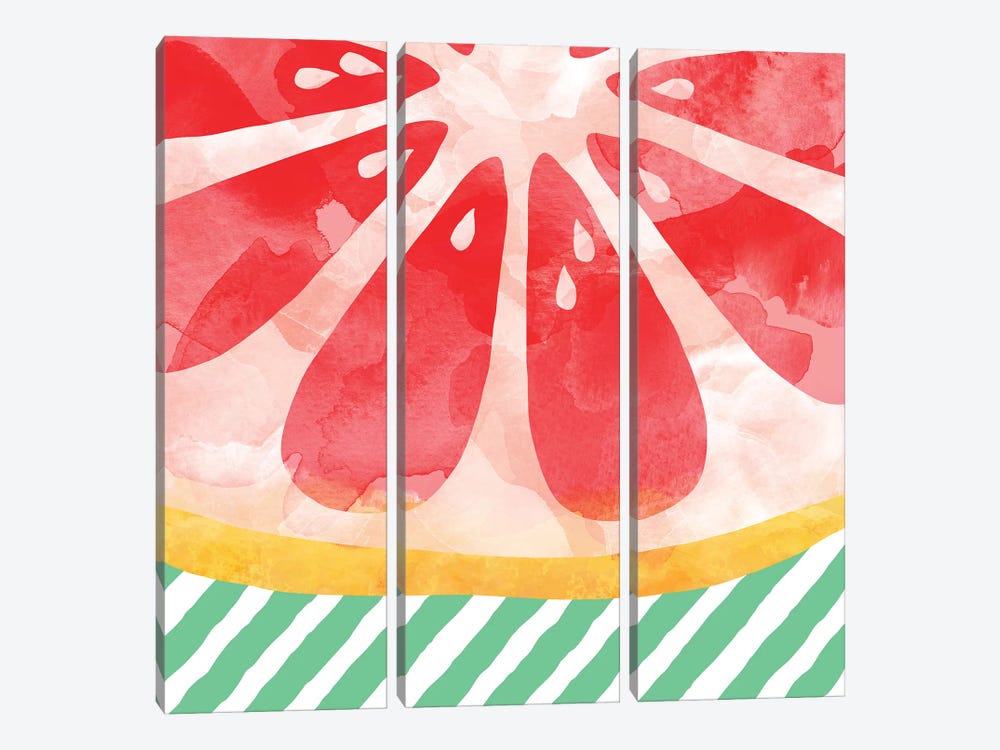 Red Grapefruit Abstract by Orara Studio 3-piece Canvas Wall Art
