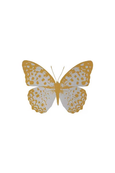 Silver Butterfly by Orara Studio framed canvas print