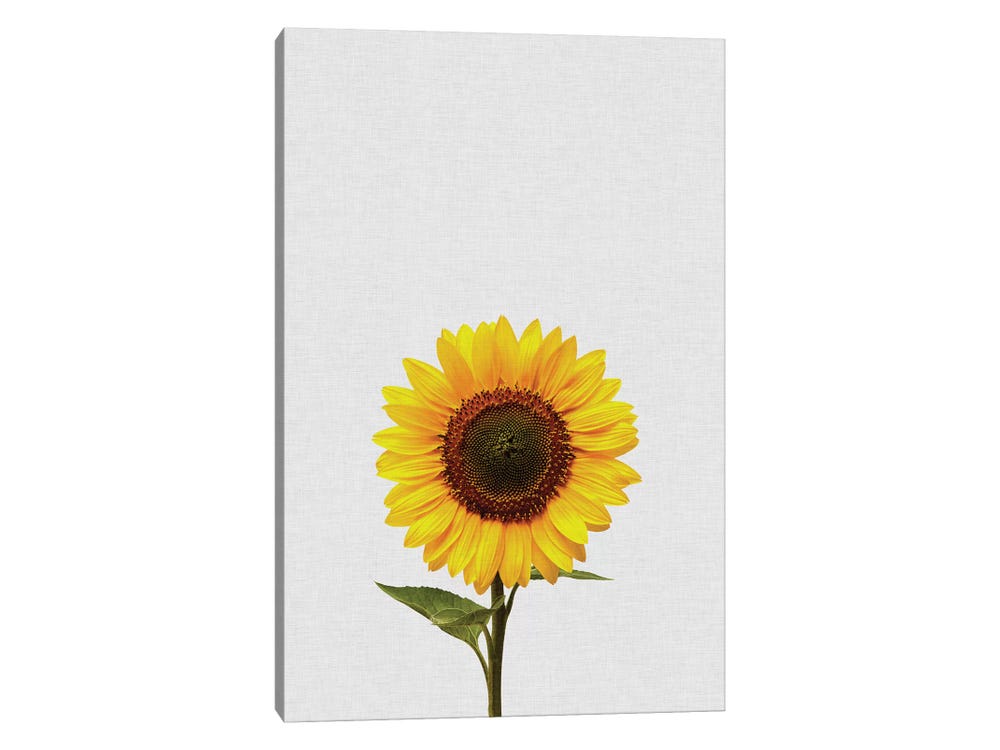 Mini Painting Kit Sunflowers 