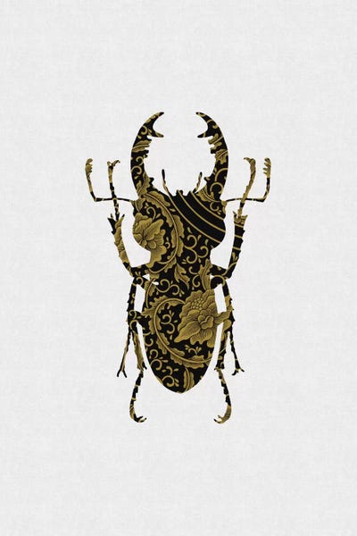 Black & Gold Beetle III by Orara Studio canvas print