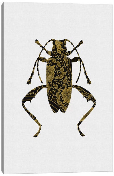 Black & Gold Beetle IV Canvas Art Print - Black, White & Gold Art
