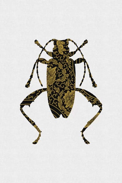 Orara Studio: Black & Gold Beetle IV by Orara Studio