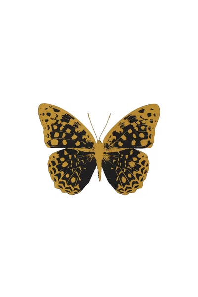 Black Butterfly by Orara Studio multi panel art