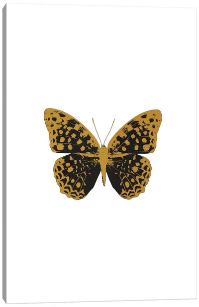 Black Butterfly Canvas Art Print - Black, White & Gold Art