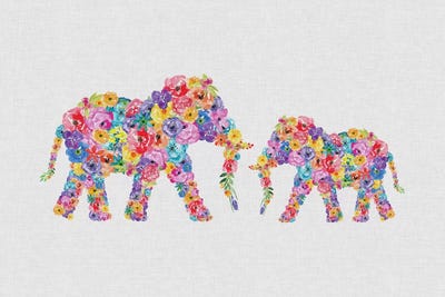 Floral Elephants by Orara Studio canvas print
