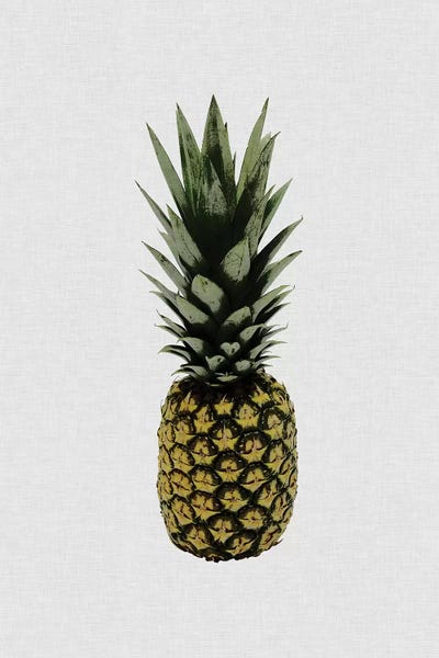 Orara Studio: Pineapple I by Orara Studio