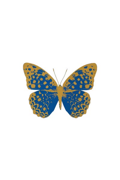 Blue Butterfly by Orara Studio framed canvas print