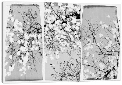 Oriental Blossom Canvas Art Print - Black & White Graphics & Illustrations