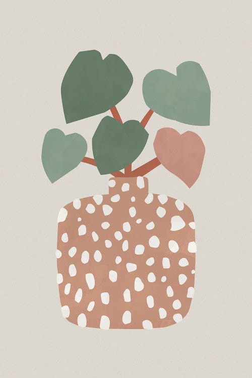 Terrazzo & Heart Plant