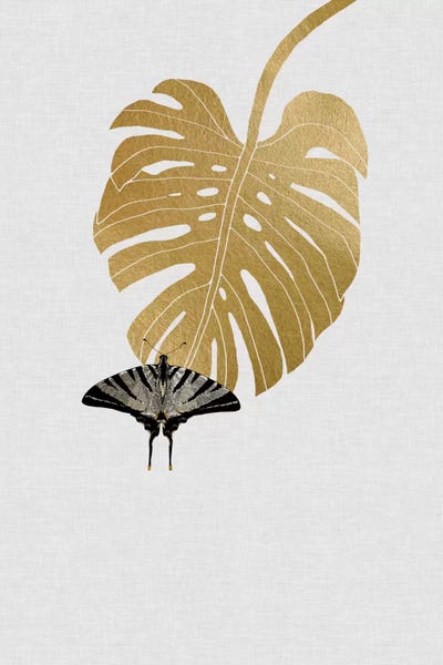 Black & White & Gold: Butterfly & Monstera by Orara Studio