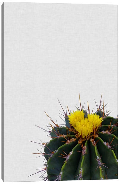 Cactus Flower Canvas Art Print - Cactus Art