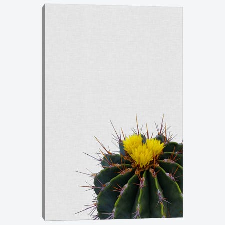 Cactus Flower Canvas Print #ORA41} by Orara Studio Canvas Art Print