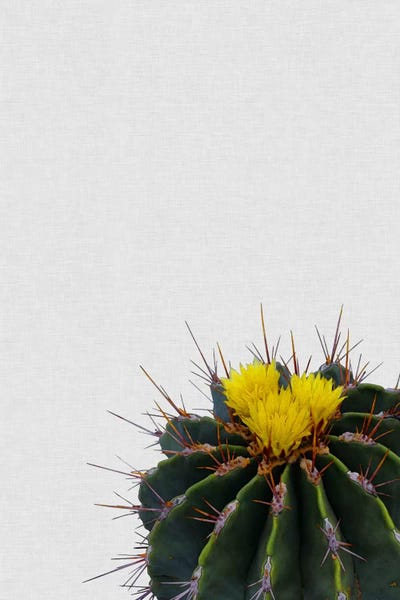 Minimalist Bohemian Decor: Cactus Flower by Orara Studio