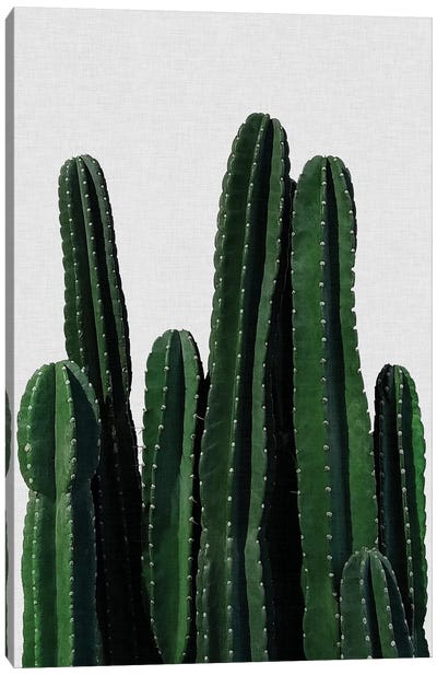 Cactus I Canvas Art Print - Plant Art