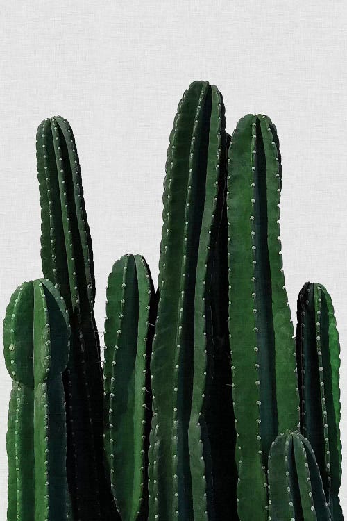 Cactus I by Orara Studio wall art