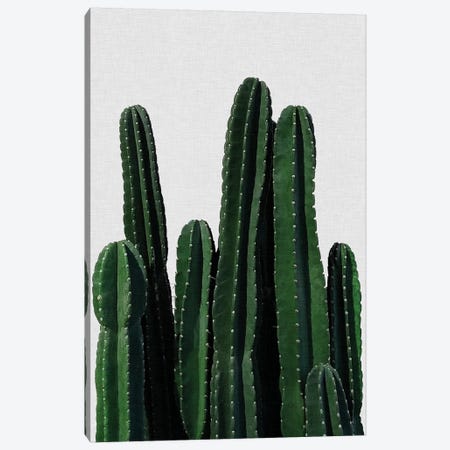 Cactus I Canvas Print #ORA42} by Orara Studio Canvas Art Print