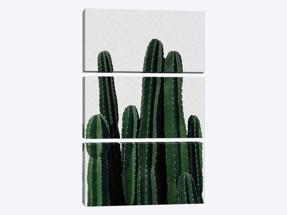 Cactus I by Orara Studio 3-piece Canvas Print