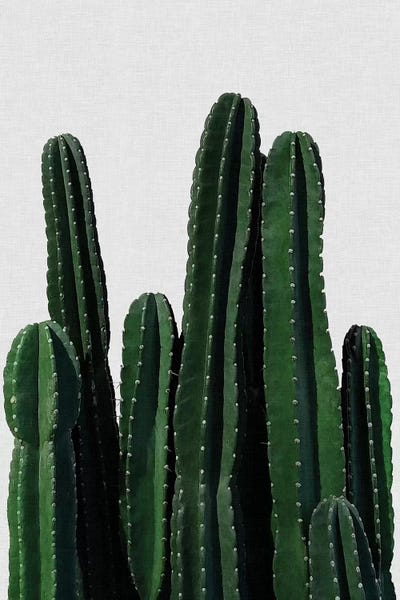 Orara Studio: Cactus I by Orara Studio