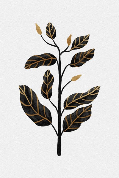 Orara Studio: Black Gold Still Life II by Orara Studio