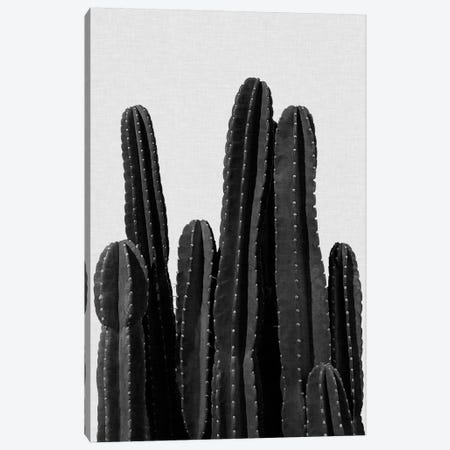 Cactus I B&W Canvas Print #ORA43} by Orara Studio Canvas Art Print