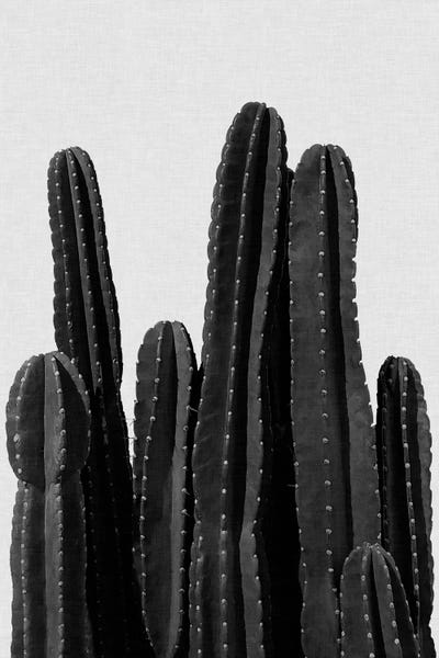 Minimalist Bohemian Decor: Cactus I B&W by Orara Studio