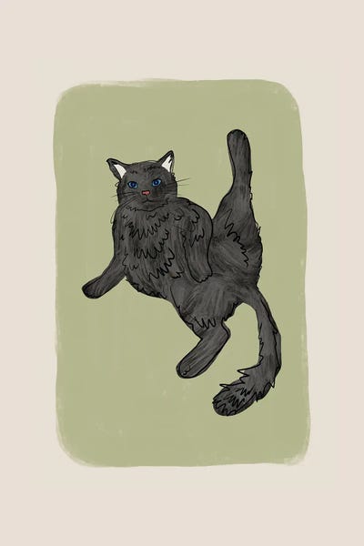 Black Cats: Black Cat by Orara Studio