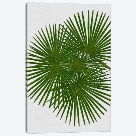 Fan Palm Canvas Print #ORA65} by Orara Studio Canvas Artwork