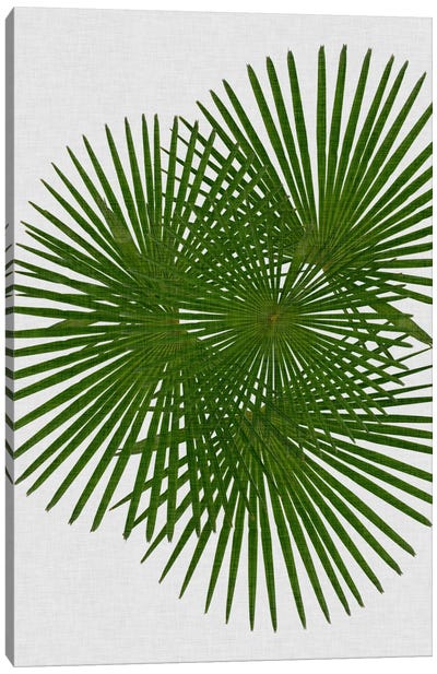 Fan Palm Canvas Art Print - Orara Studio