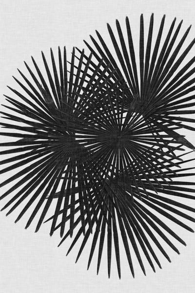 Tropical Leaves: Fan Palm B&W by Orara Studio
