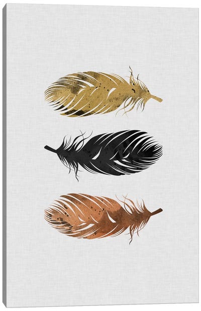 Feathers Canvas Art Print - Orara Studio
