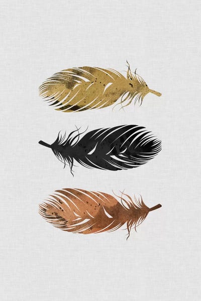 Orara Studio: Feathers by Orara Studio