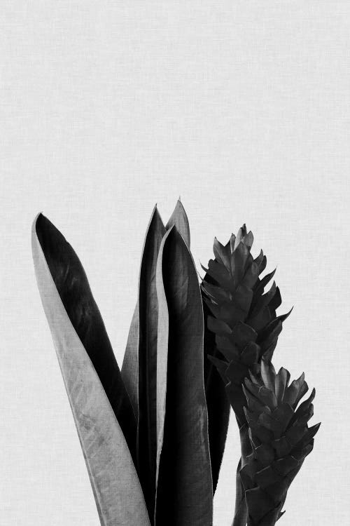 Flower B&W by Orara Studio wall art