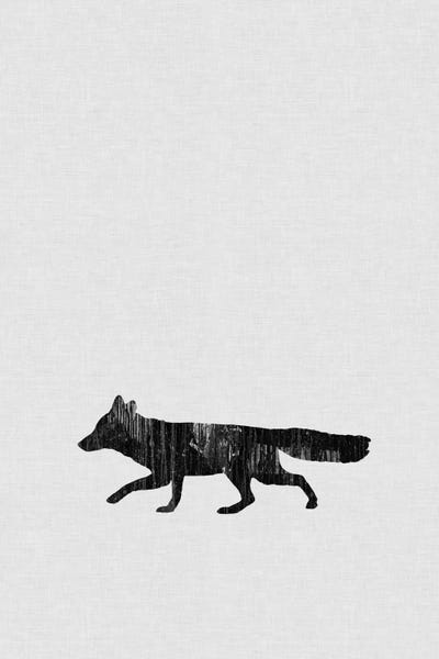 Foxes: Fox B&W by Orara Studio