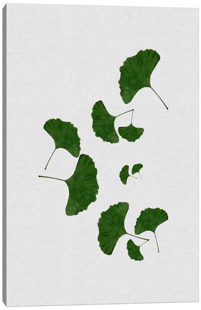Ginkgo Leaf I Canvas Art Print