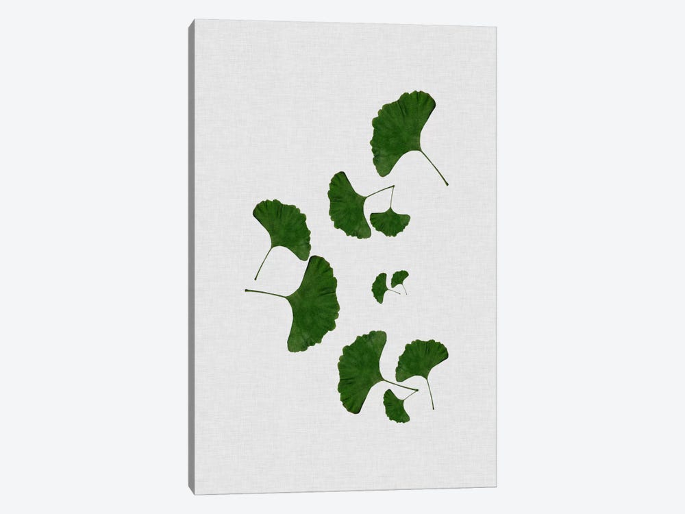 Ginkgo Leaf I by Orara Studio 1-piece Canvas Artwork