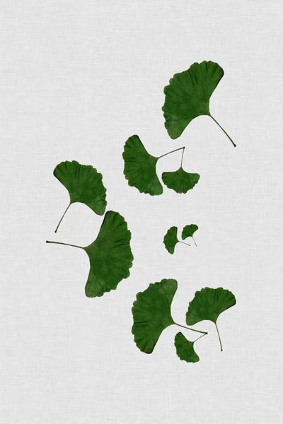 Ginkgo Trees: Ginkgo Leaf I by Orara Studio