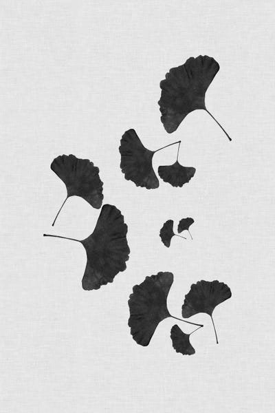 Ginkgo Trees: Ginkgo Leaf I B&W by Orara Studio