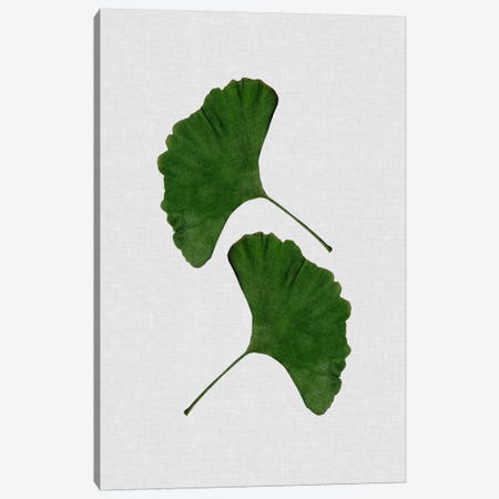 Ginkgo Leaf II Canvas Print #ORA80} by Orara Studio Art Print