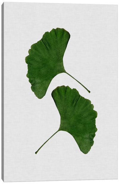 Ginkgo Leaf II Canvas Art Print - Orara Studio