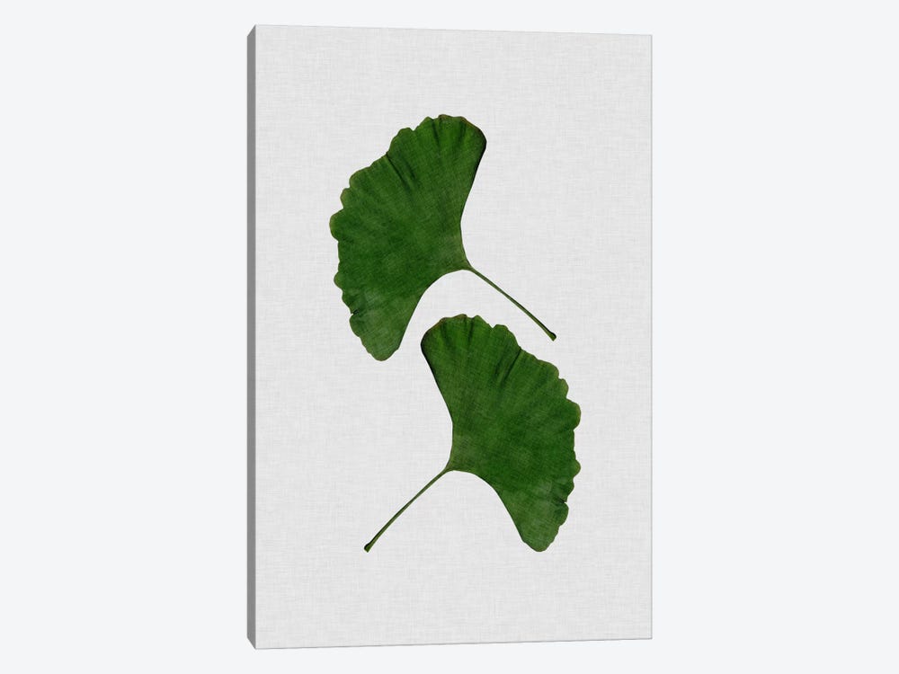 Ginkgo Leaf II 1-piece Art Print