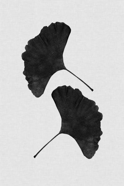 Ginkgo Trees: Ginkgo Leaf II B&W by Orara Studio