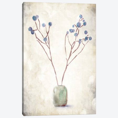 Secluded Plant Canvas Print #ORE17} by On Rei Canvas Art Print