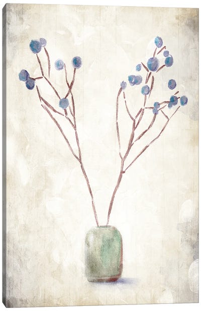 Secluded Plant Canvas Art Print