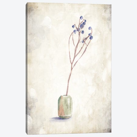 Solitude Of A Plant Canvas Print #ORE18} by On Rei Canvas Art