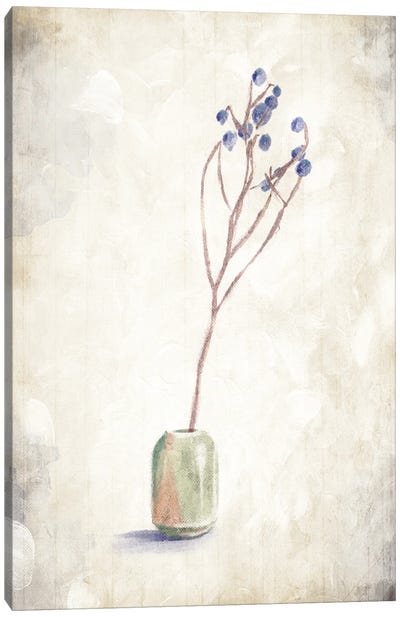 Solitude Of A Plant Canvas Art Print