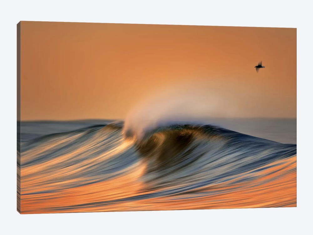 Colorful Wave and Bird by David Orias 1-piece Canvas Print