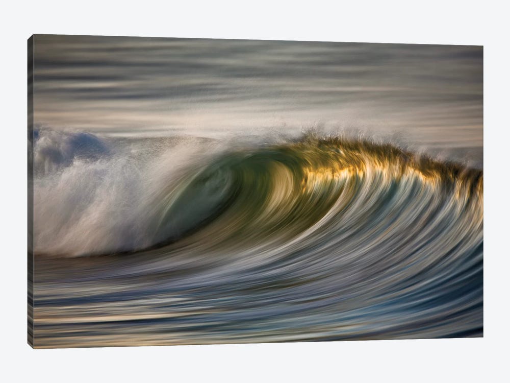 Curling Wave by David Orias 1-piece Canvas Art